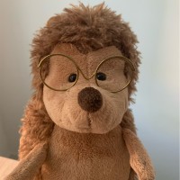 Ike Hedgehog