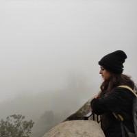 Thanuja C B
