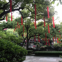 王治军