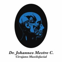 Johannes René Mestre Cabello