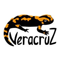 Association Veracruz