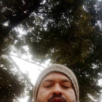 Md Salauddin