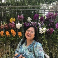 Hazelina Alesna