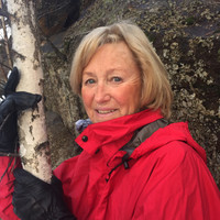 Hanne Grøn
