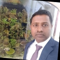 Biju kumar