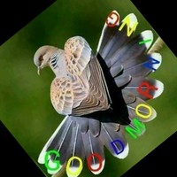 Prashant Rai