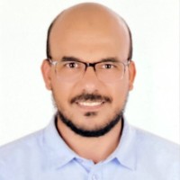 Mohammed Mostafa, Pgmp,Pmp,Rmp,P3O,Vma,Psp