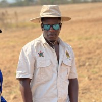 Tatenda Ndakunda Chinhengo