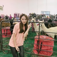 yilu yang