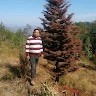 Partha Kakoti