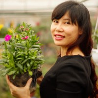 Tran Thi Le Hang