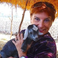 Judy Graham