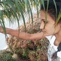 Prajwal Prajju