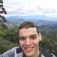 Gustavo Fedrizzi Da Silva