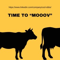 UCD School of Biomolecular and Biomedical Science (SBBS)