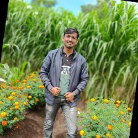 Ankush Telvekar