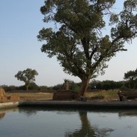 Salahi Mohammad Hassan