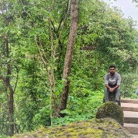 Yogesh K