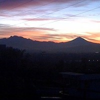 Laura Alvarez del Castillo