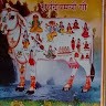 Narayan Kumhar