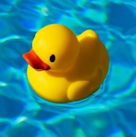 Rubber Ducky
