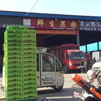 杨传宝