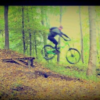 Daniel Wren