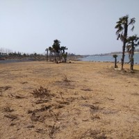 杜海森