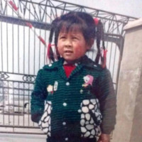 陈晓莎