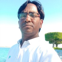 Mohammad Shahabuddin