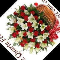 Neuza Sampaio Cordeiro