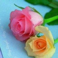 刘陈芳