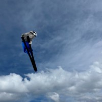 Daan de Wildt