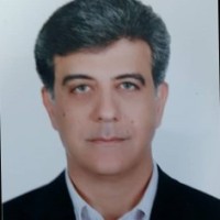 Vahid Shahsanaei