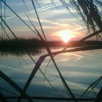 Toda Marc Wright Duck Lease In Lake Aurthur