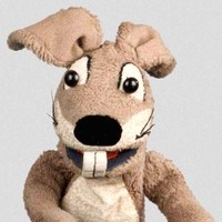 Hase Cäsar