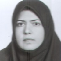 Elaheh Hejazi