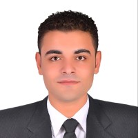 Farag Ali Elshaer