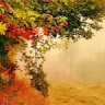 suni surendran
