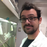 Federico Cividini Ph.D.