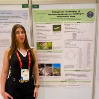 Efstathia Maria Polychroniadi