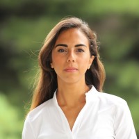 A. Toledo Fuentes