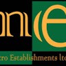 Micro Establishments