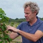 Marcel van Heesewijk