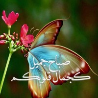 Munira R