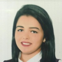 Bassant Elsheboukshy