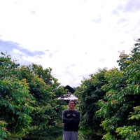 Pandu Abdi Putra Hutagalung