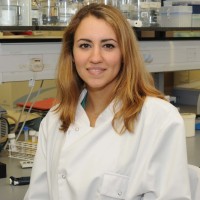 Dr Eleni Ladikou