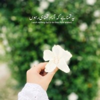 Noureen Akhtar