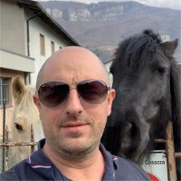 Davide Bonvini